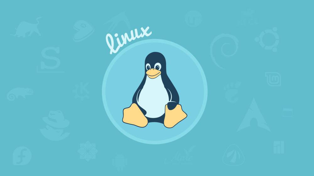 Top distributions linux 1